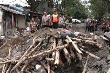 Pemkot Jakbar pasang penahan beronjong usai tanggul Kali Angke ambruk