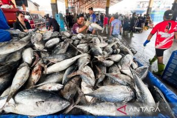 DIY menargetkan produksi ikan tangkap mencapai 7.584 ton pada 2026