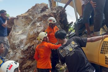 Basarnas evakuasi jenazah sopir ekskavator yang tertimpa longsor di Baubau