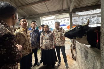Wapres Gibran tekankan hilirisasi industri peternakan di Boyolali