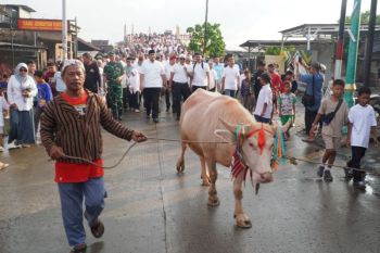 Lomban Syawalan Jepara hadirkan kirab kerbau bule, daya tarik wisata