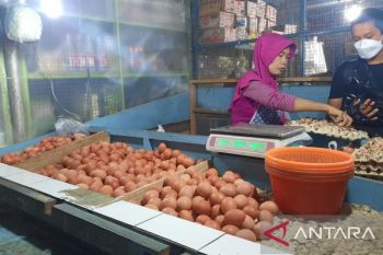 Harga bahan pokok pascalebaran di Depok mulai turun