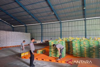 Bulog Kaltim-Kaltara salurkan bantuan ke 323.824 keluarga