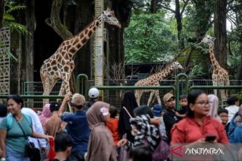 353.525 wisatawan kunjungi Ragunan selama libur Lebaran