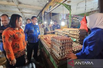Pemprov Papua terus pantau harga pangan di pasar tradisional