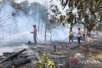 Pemkot Tanjungpinang siaga kebakaran hutan dan lahan