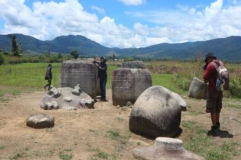 Pemkab Sigi canangkan Desa Bomba-Marawola sebagai kampung alpukat