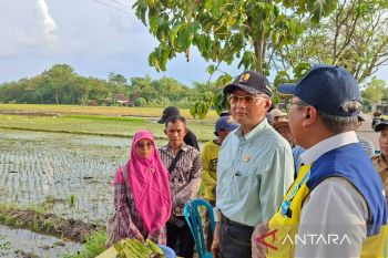 Menteri PU Dody instruksikan pembangunan irigasi tersier untuk petani