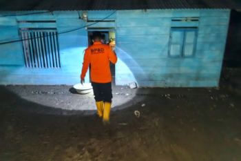 Sebanyak 22 rumah warga terdampak banjir di Balantak Utara