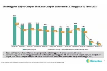 Indonesia reports 93 percent drop in measles cases since early 2026