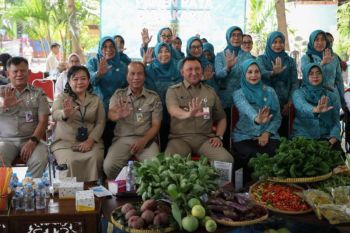 Perkuat ketahanan pangan, Pemkot Jakut gelar panen raya di 117 lokasi