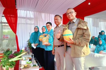 DKI gencarkan pertanian perkotaan lewat panen raya di 807 titik