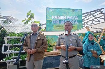 DKI targetkan 5 persen kebutuhan pangan lewat urban farming pada 2030