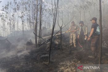 Dilanda cuaca panas ekstrem, 70 titik panas dari kebakaran hutan muncul di Kepulauan Riau