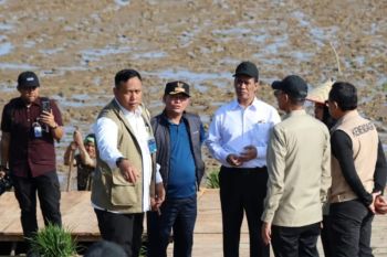 Distan Aceh Utara intensifkan sawah tak terdampak bencana