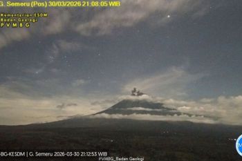 Gunung Semeru kembali erupsi disertai letusan setinggi 600 meter&nbsp;
