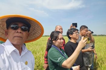 KTNA serukan mitigasi kekeringan dengan optimalisasi pompa air dan varietas tahan kering