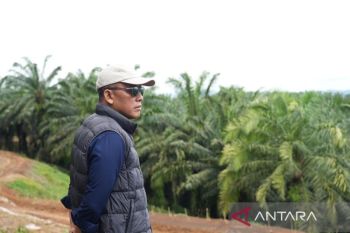 Siaga Kemarau, PTPN IV PalmCo Perkuat Deteksi Dini Karhutla dan Strategi Agronomi