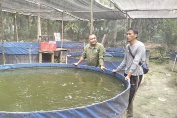 Lewat Pembinaan UMKM, PT Sari Lembah Subur Dorong Perekonomian Desa Tumbuh Berkelanjutan