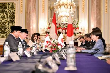 Indonesia, Japan pledge deeper partnership, joint peace efforts