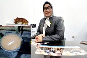 Ketua Komisi I DPRD Barut soroti air PDAM keruh di Jambu dan Jingah