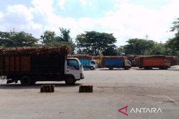 Pengoperasian Pabrik Gula GMM Blora menunggu perbaikan mesin boiler