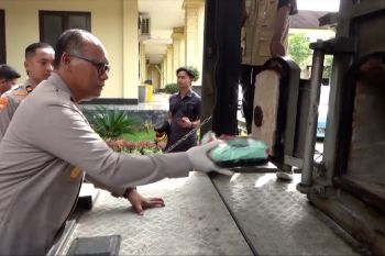 Polda Sultra musnahkan sabu dan ganja hasil pengungkapan kasus
