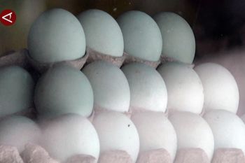 Nasib pedagang telur asin Brebes di persimpangan Tol Trans Jawa