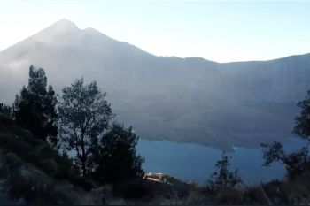 Perbaiki tata kelola Taman Nasional, Presiden bentuk satgas baru