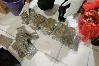 Polisi gagalkan penyelundupan 6 kg ganja asal PNG