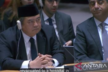 UN urged to probe Israel's killing of three Indonesian peacekeepers