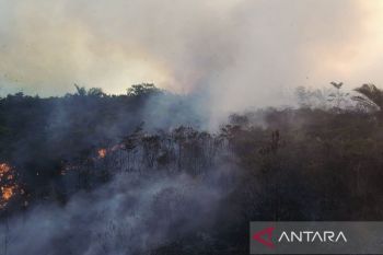 Psikolog: Judi online ganggu kesehatan mental hingga sebabkan depresi
