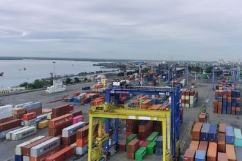 BNCT catat realisasi arus peti kemas naik 7,4 persen