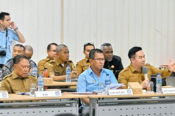 Wali Kota Kupang dorong relaksasi kebijakan fiskal daerah
