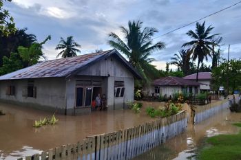 Sebanyak 10 rumah terdampak banjir di Balantak Utara