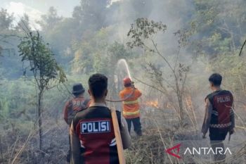 BPBD Kaltim perkuat kewaspadaan karhutla dengan temuan 77 titik panas