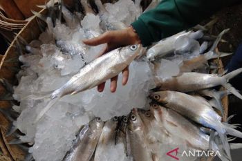 Inflasi Maret 2026 turun ke angka 0,41 persen