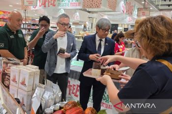 Kopi asal lereng Gunung Kerinci Jambi tembus pasar Malaysia
