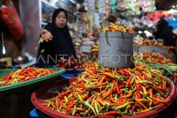 Komoditas Cabai dan tomat picu inflasi Sulsel 0,59 persen pada Maret 2026