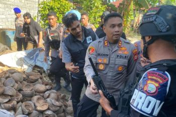 Polres Halmahera Utara razia senjata tajam usai bentrok antarwarga