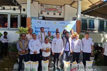 Bulog dan Pemkot Kupang salurkan bantuan pangan untuk 39.809 PBP