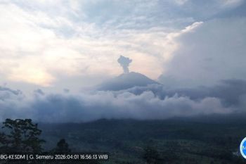 Gunung Semeru kembali erupsi dengan letusan setinggi 1.000 meter pada Rabu petang