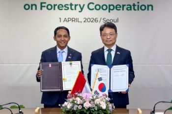 Indonesia, South Korea deepen strategic ties on forest fire response
