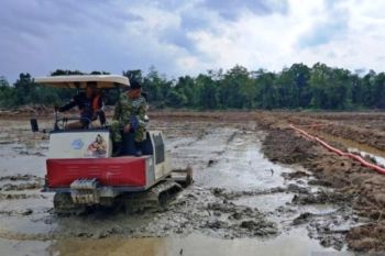 Kutai Timur alokasikan Rp500 juta untuk lindungi sawah
