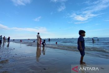 BMKG ingatkan petambak Balikpapan waspada pasang laut