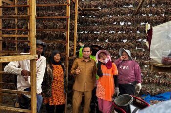 Solok dorong integrasi pertanian dan pariwisata Alahan Panjang