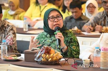 Anggota DPR: Kementerian perlu lindungi pekerja kreatif seperti Amsal