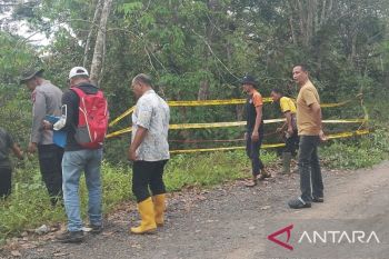 Jalan penghubung antardesa Sosoh Buay Rayap di OKU nyaris putus akibat longsor
