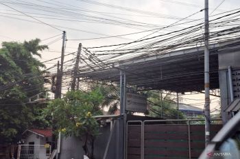 PLN Watch sebut perusahaan internet tidak boleh pakai tiang PLN tanpa izin