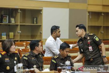 Di Hadapan DPR, Kajari Karo akui salah terkait penangguhan penahanan Amsal